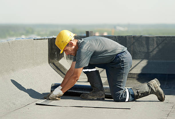 Types of Insulation We Offer in San Anselmo, CA