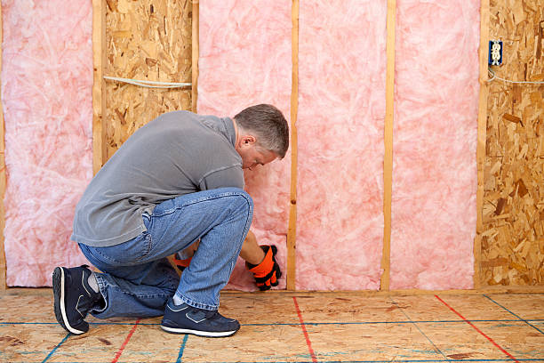 Best Eco-Friendly Insulation in San Anselmo, CA